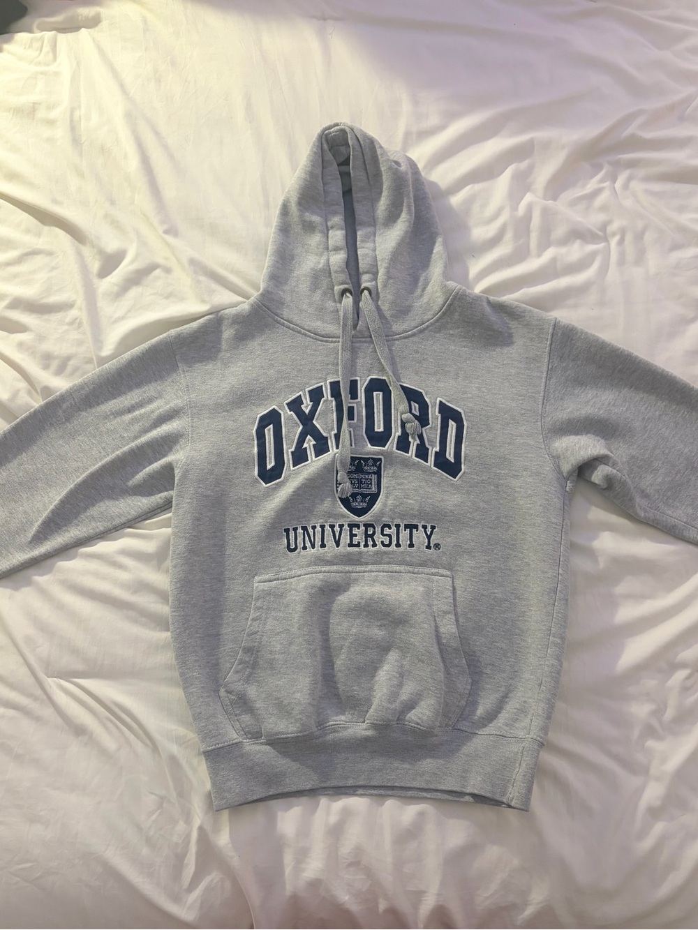 Oxford University Gray Crewneck Hoodie - Classic Pullover